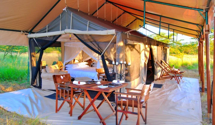 Tanzania Bush Camp