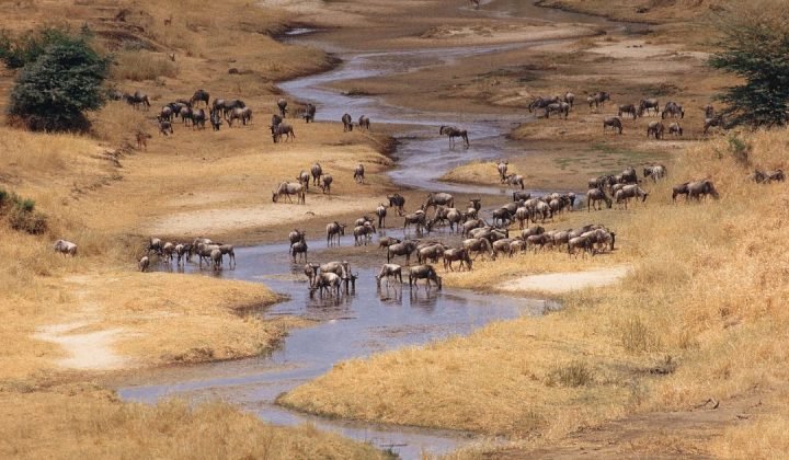 Tarangire National Park