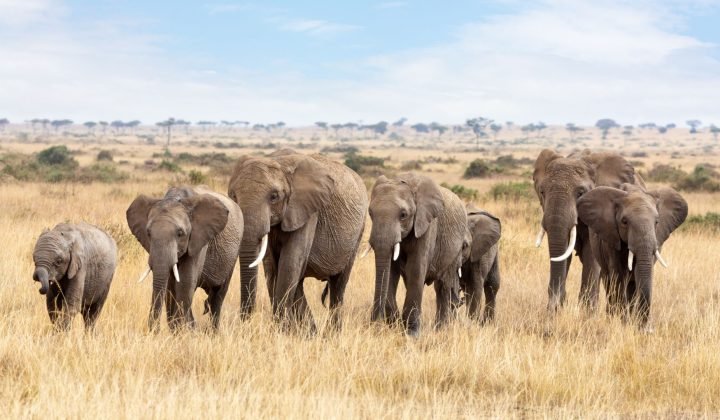 Tarangire National Park
