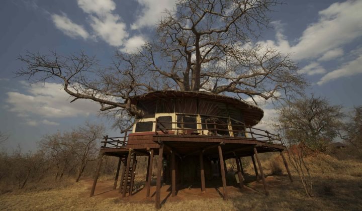 Tarangire Treetops by Elewana 2