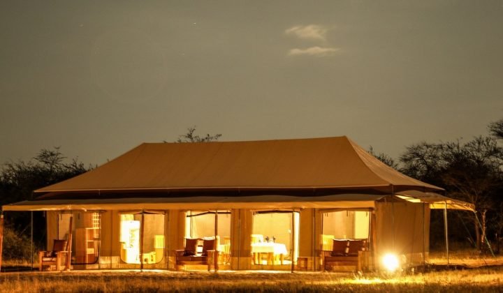 into the wild serengeti camp