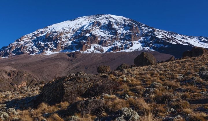 Mt Kilimanjaro